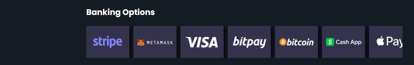 Remsan "Banking Options" pa rocky.casino: en rad betalningslogotyper utan text under rubriken